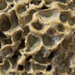 Détail de la texture du vase BORA en céramique artisanale, grès blanc chamotté avec émail vert.